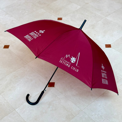 Regenschirm